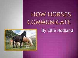 HOW HORSES COMMUNICATE