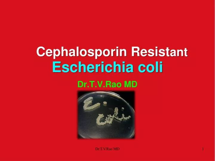 cephalosporin resist ant escherichia coli