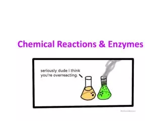 Chemical Reactions &amp; Enzymes