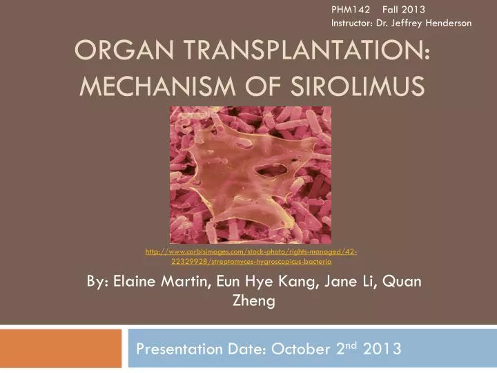 organ transplantation mechanism of sirolimus