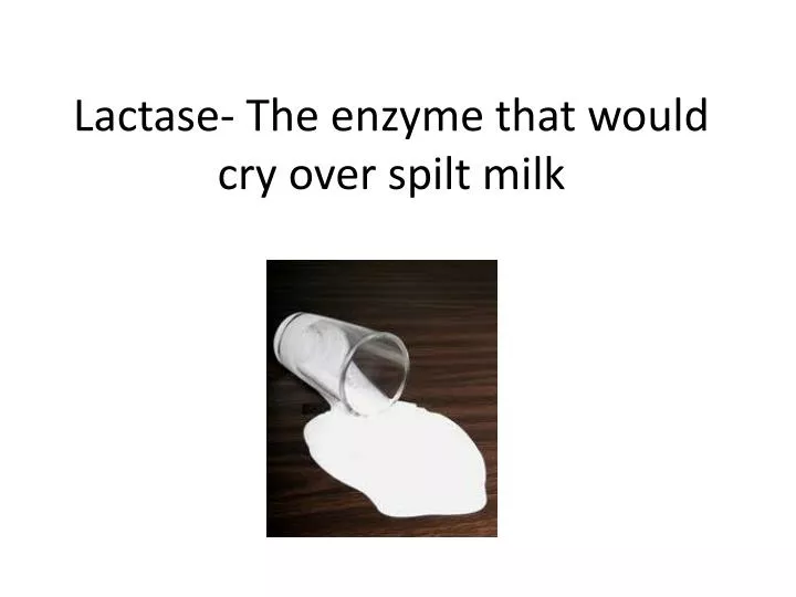 lactase the enzyme that would cry over spilt milk