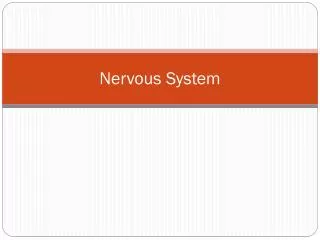 Nervous System