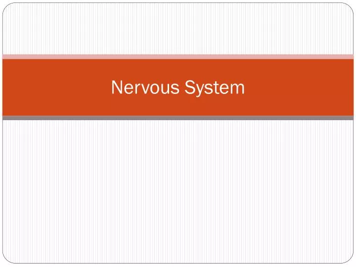 nervous system