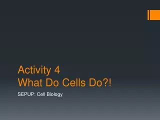 Activity 4 What Do C ells D o?!