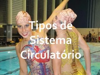 tipos de sistema c irculat rio
