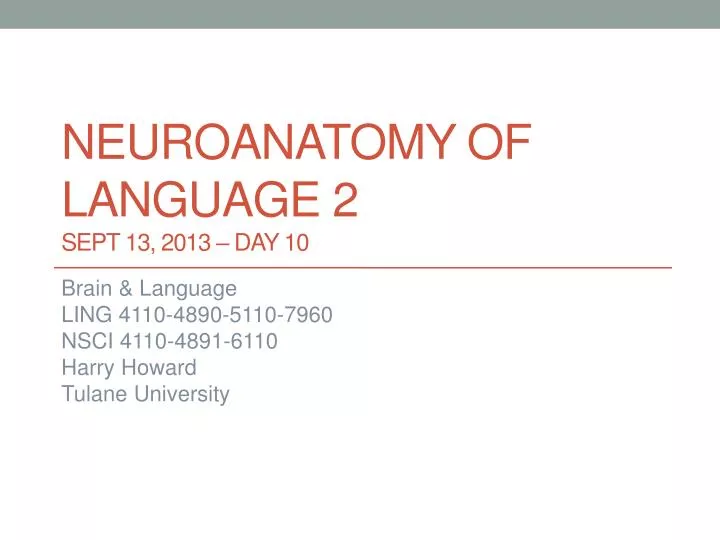 neuroanatomy of language 2 sept 13 2013 day 10