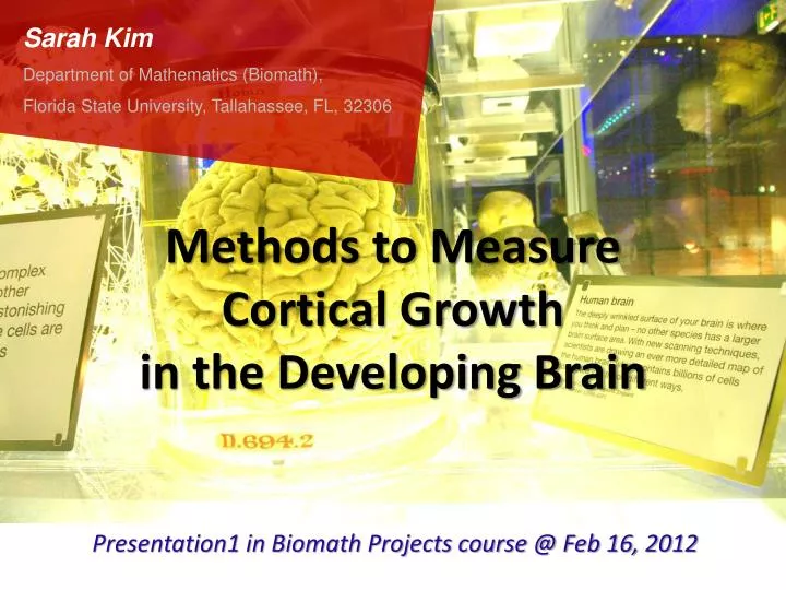 methods to measure cortical growth in the developing brain