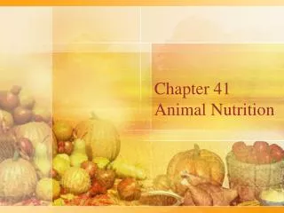 Chapter 41 Animal Nutrition