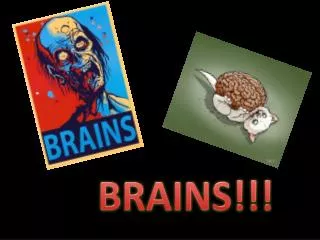 BRAINS!!!