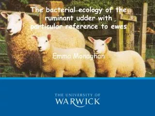 The bacterial ecology of the ruminant udder with particular reference to ewes Emma Monaghan