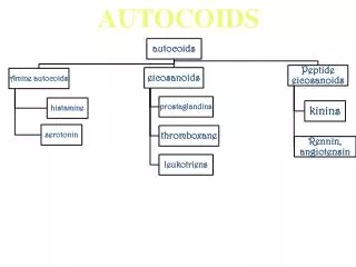 AUTOCOIDS