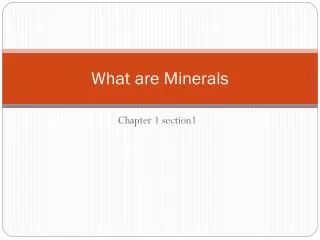 What are Minerals