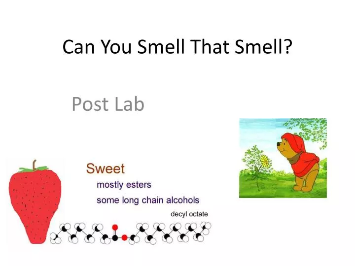 can you smell that smell