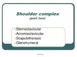 Shoulder complex (part two) - slide 1