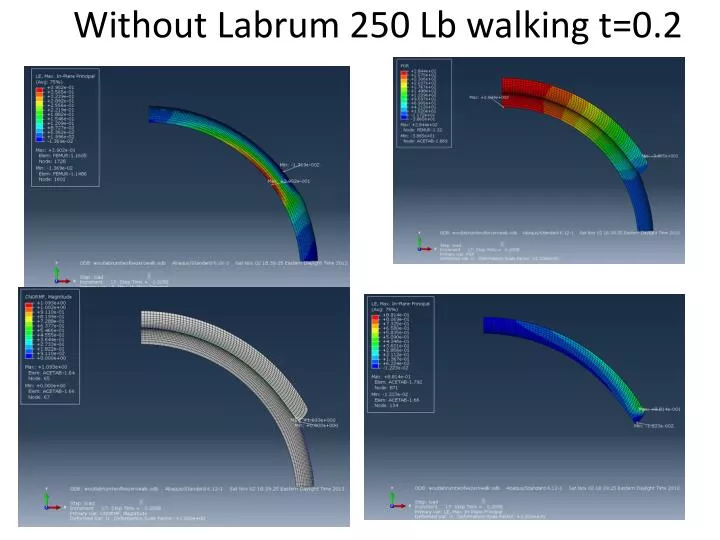 without labrum 250 lb walking t 0 2