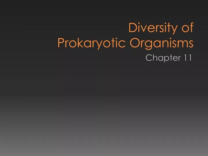 diversity of prokaryotic organisms