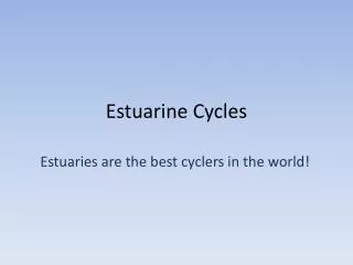 Estuarine Cycles