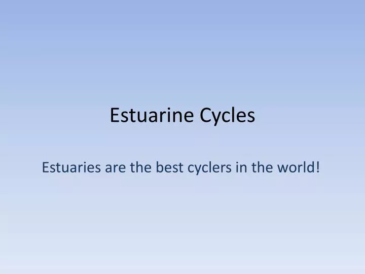 estuarine cycles