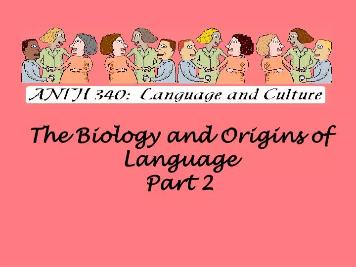 the biology and origins of language part 2