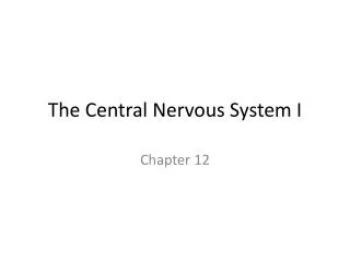 The Central Nervous System I