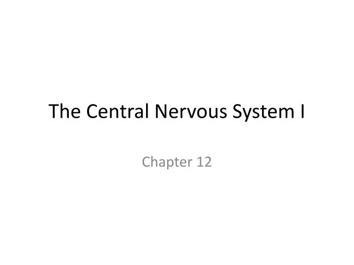 the central nervous system i