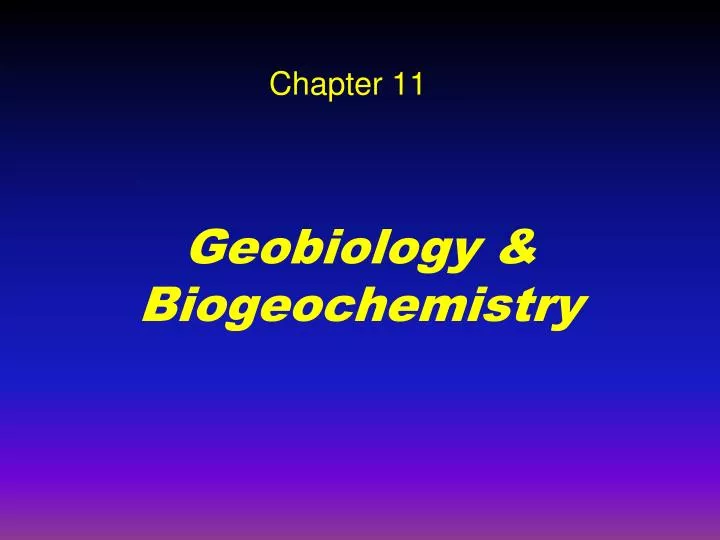 geobiology biogeochemistry