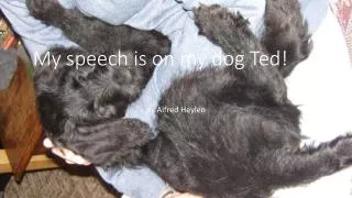 My speech is on my dog Ted!