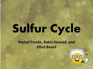 Sulfur Cycle