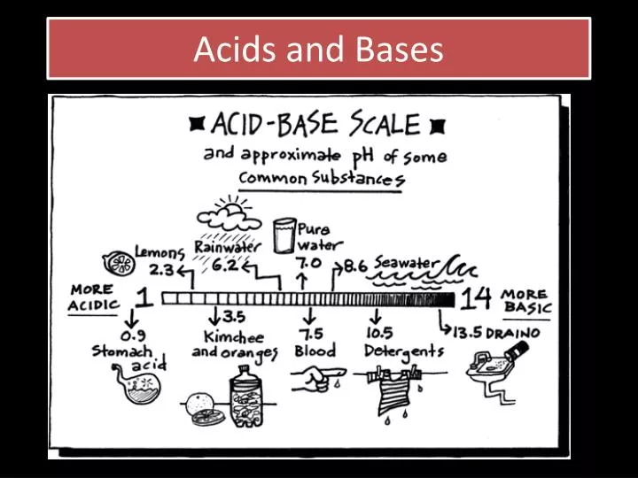 acids and bases