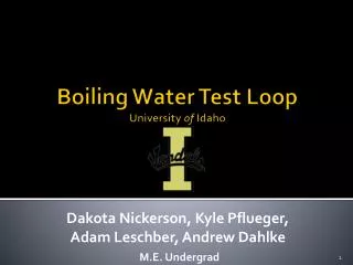 Boiling Water Test Loop University of Idaho