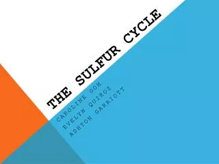 THE SULFUR CYCLE
