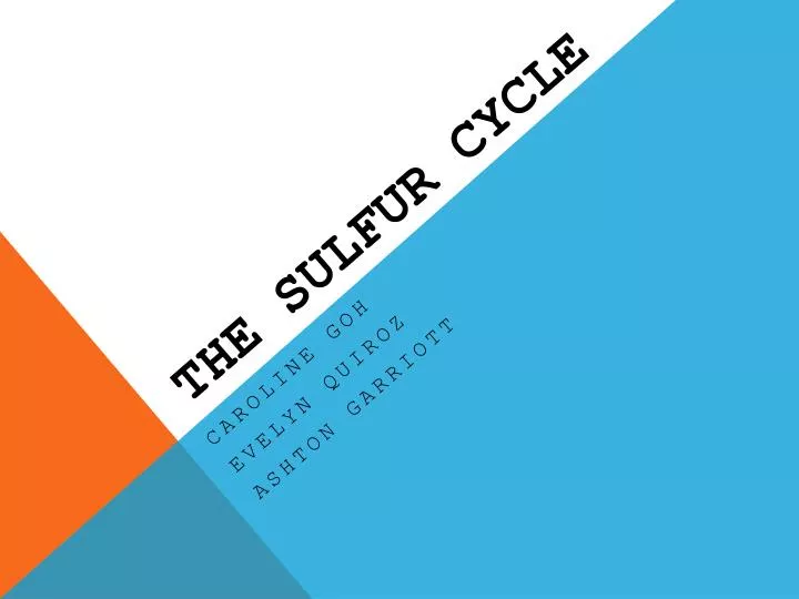 the sulfur cycle