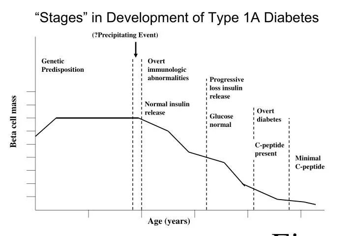 stages in development of type 1a diabetes