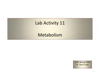 Lab Activity 11 Metabolism