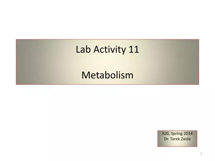 lab activity 11 metabolism