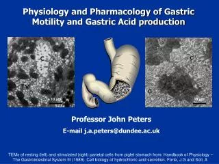 Physiology and Pharmacology of Gastric Motility and Gastric Acid production