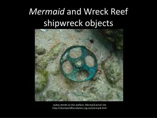 M ermaid and Wreck R eef shipwreck objects