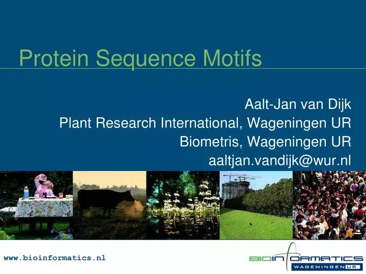 protein sequence motifs