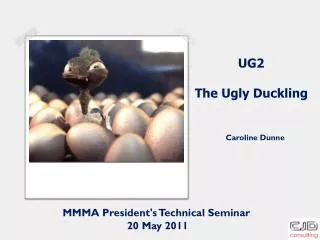 UG2 The Ugly Duckling