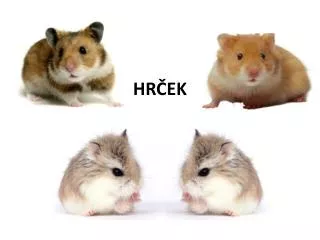 hr ek
