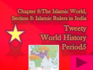 Chapter 8:The Islamic World, Section 3: Islamic Rulers in India