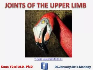 JOINTS OF THE UPPER LIMB