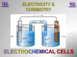 ELECTROCHEMICAL CELLS