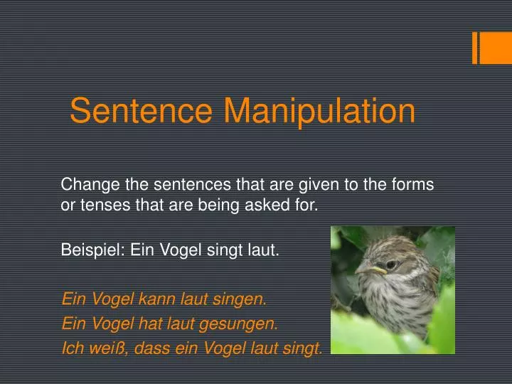 sentence manipulation