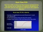 Real-Time PCR - slide 1
