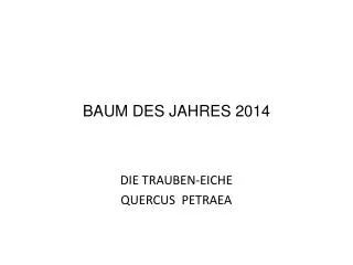 baum des jahres 2014
