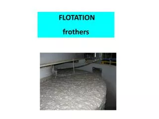 FLOTATION frothers