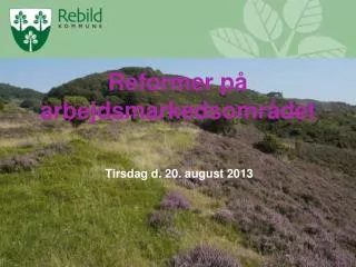 reformer p arbejdsmarkedsomr det
