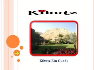 Kibutz Ein Guedi