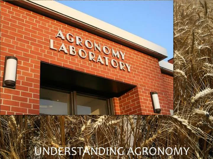 understanding agronomy